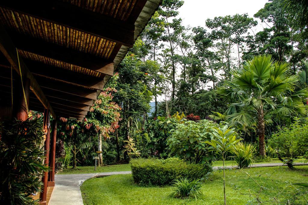 Catarata Eco Lodge La Fortuna Εξωτερικό φωτογραφία