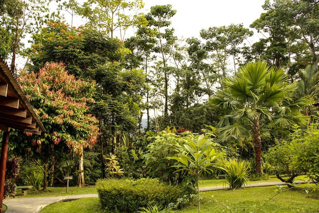 Catarata Eco Lodge La Fortuna Εξωτερικό φωτογραφία