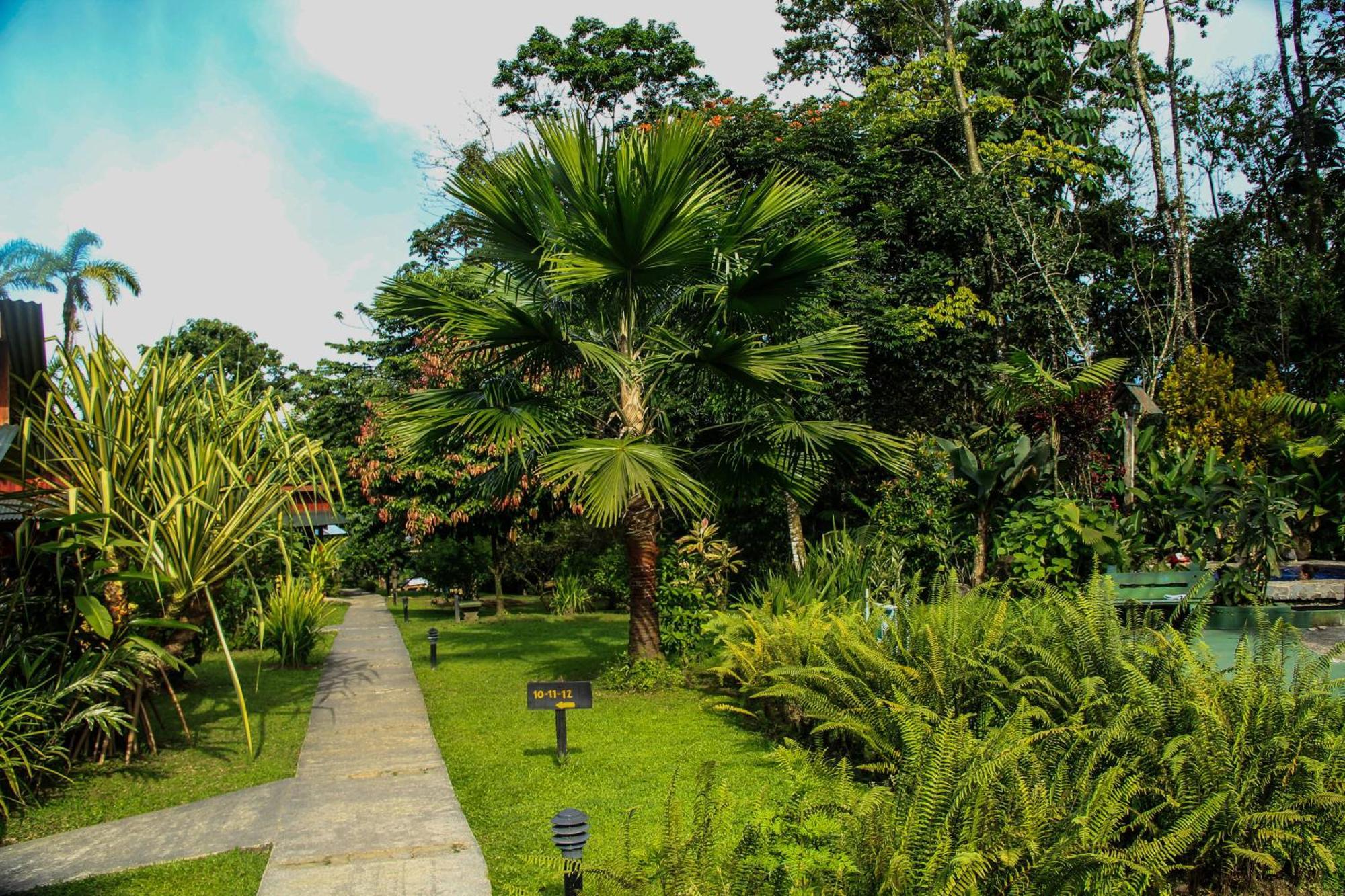 Catarata Eco Lodge La Fortuna Δωμάτιο φωτογραφία
