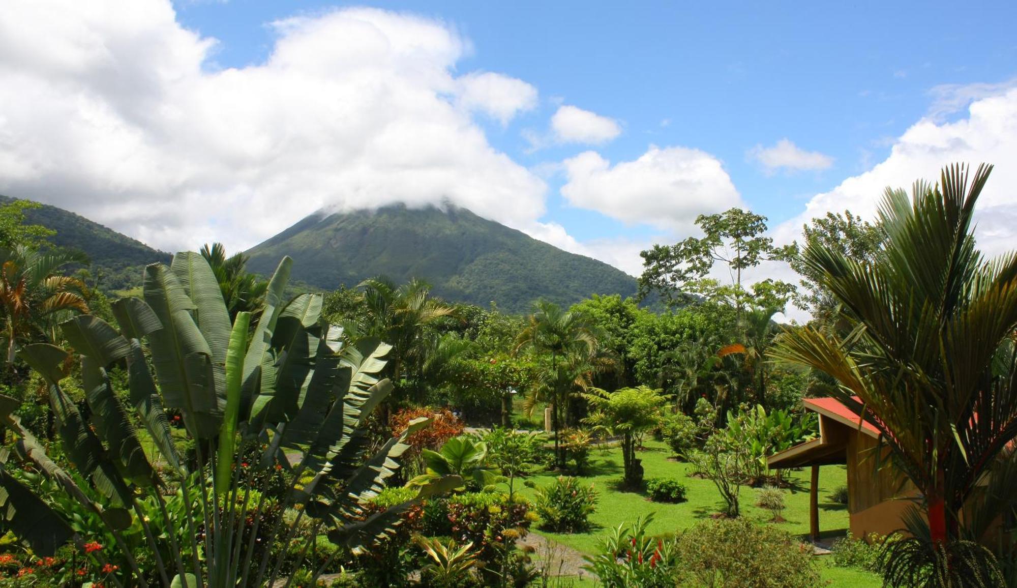 Catarata Eco Lodge La Fortuna Εξωτερικό φωτογραφία