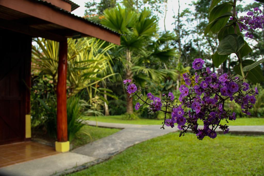 Catarata Eco Lodge La Fortuna Εξωτερικό φωτογραφία