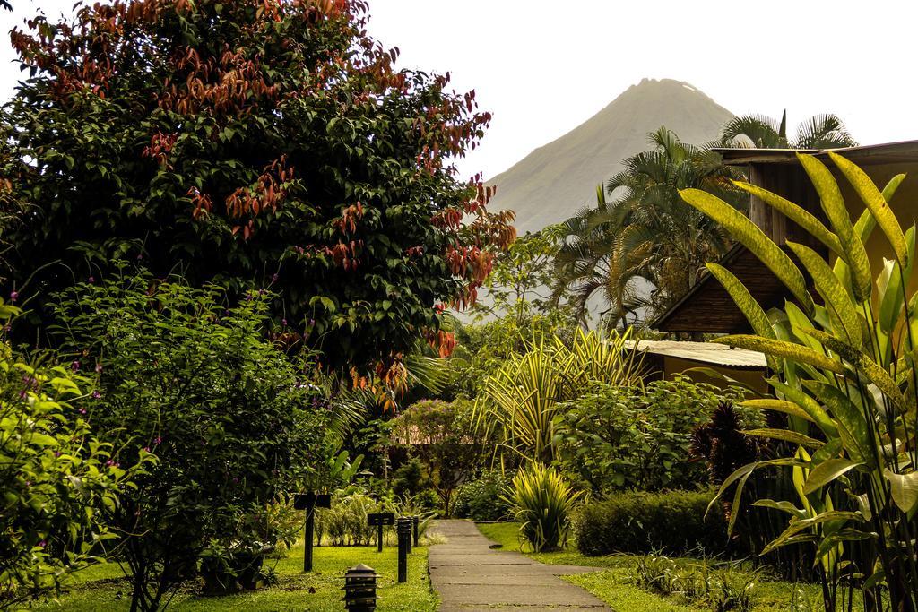 Catarata Eco Lodge La Fortuna Εξωτερικό φωτογραφία