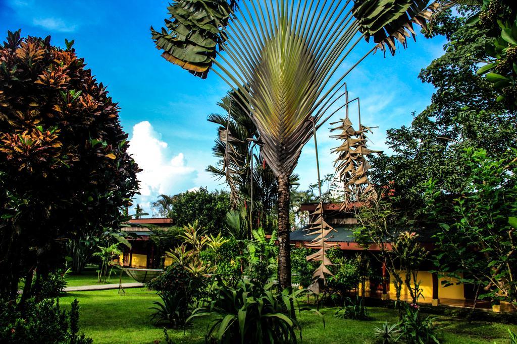 Catarata Eco Lodge La Fortuna Εξωτερικό φωτογραφία