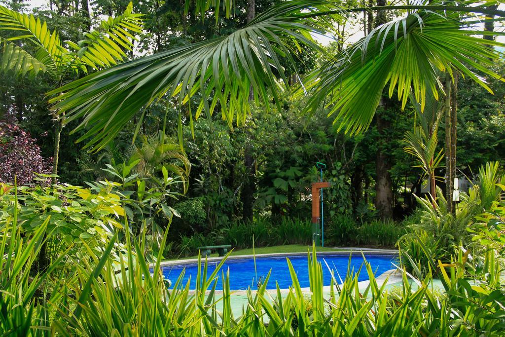 Catarata Eco Lodge La Fortuna Εξωτερικό φωτογραφία