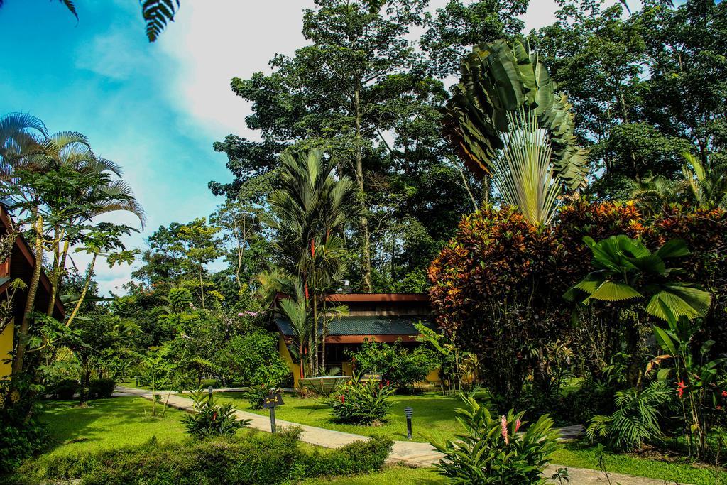 Catarata Eco Lodge La Fortuna Εξωτερικό φωτογραφία