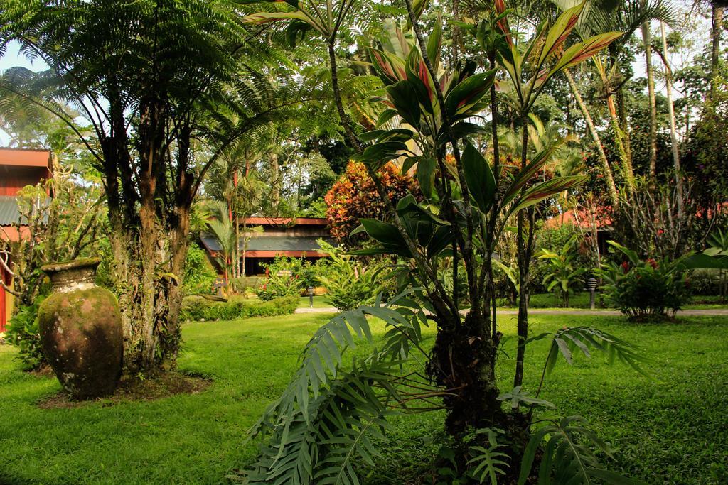 Catarata Eco Lodge La Fortuna Εξωτερικό φωτογραφία